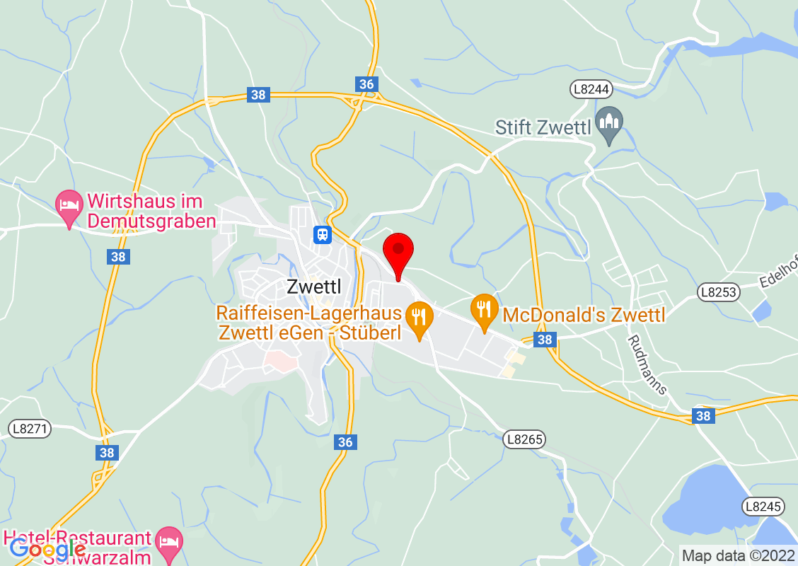 Google Maps Standort